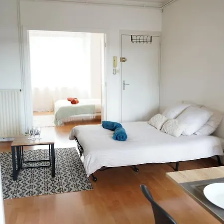 Bel Très Lumineux Lambersart