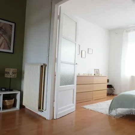 Bel Très Lumineux Appartement Lambersart